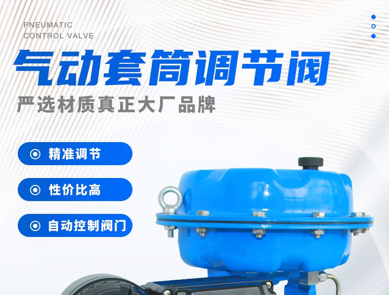 氣動套筒調節閥-首龍_01.jpg